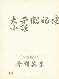 太子侧妃傻乎乎小说封面