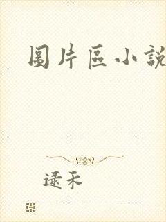 图片区小说区封面