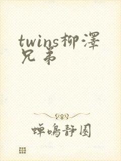 twins柳泽兄弟