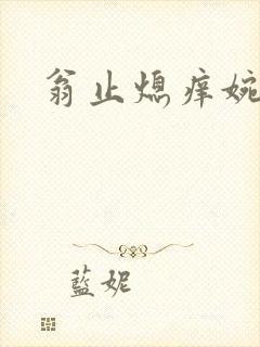 翁止熄痒婉燕封面