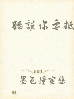 听说你要抵抗我封面