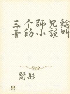 三个师兄轮流上音的小说叫什么