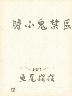 胆小鬼禁区封面