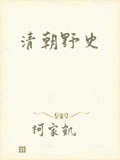 清朝野史封面