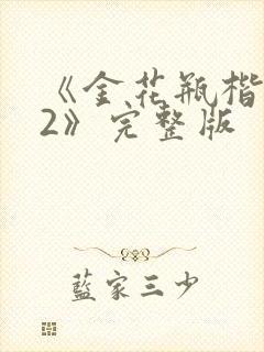 《金花瓶楷梅花2》完整版封面
