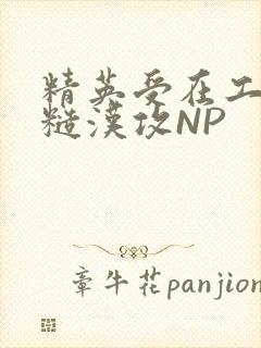 精英受在工地被糙汉攻NP