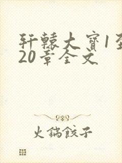 轩辕大宝1至720章全文