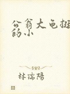 公翁大龟挺进我的小