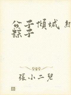 公子倾城 维和粽子