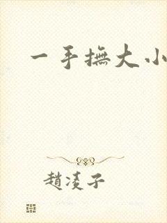 一手抚大小说