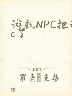 游戏NPC把我c了