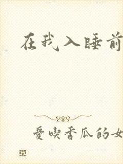 在我入睡前封面