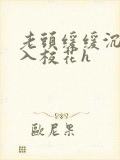 老头缓缓沉腰进入校花h封面