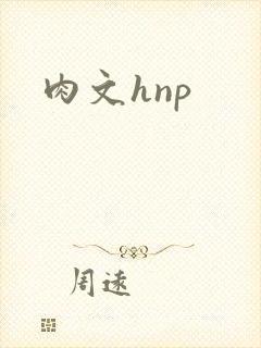 肉文hnp