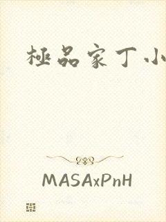 极品家丁小说封面