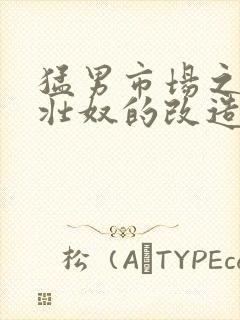 猛男市场之肌肉壮奴的改造