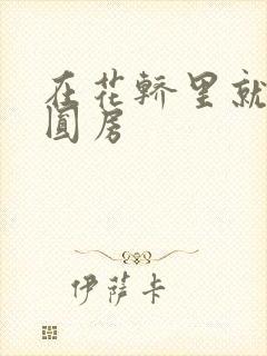 在花轿里就开始圆房