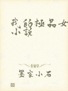 我的极品女老师小说封面