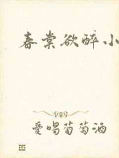 春棠欲醉小说封面