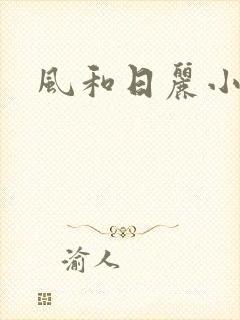 风和日丽小说