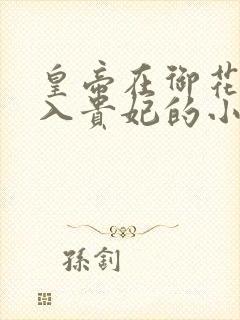 皇帝在御花园进入贵妃的小说