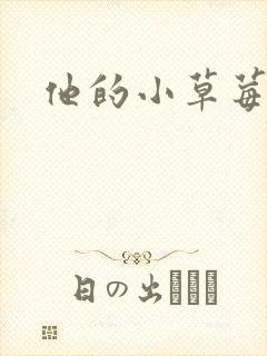 他的小草莓封面