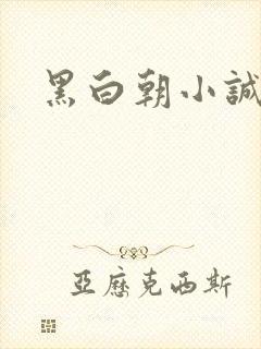 黑白朝小诚封面