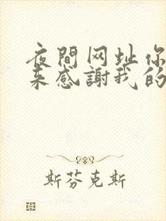 夜间网址你会回来感谢我的