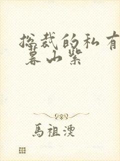 总裁的私有宝贝 暮山紫