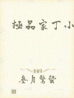 极品家丁小说封面