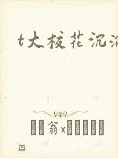 t大校花沉沦封面