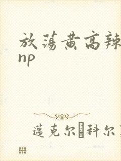 放荡黄高辣h文np封面