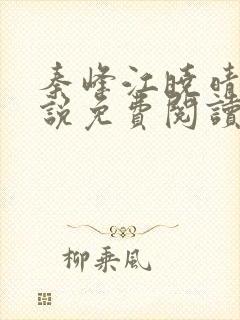 秦峰江晓晴的小说免费阅读