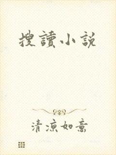 搜读小说