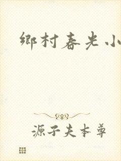 乡村春光小说
