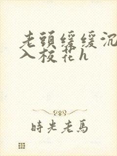 老头缓缓沉腰进入校花h