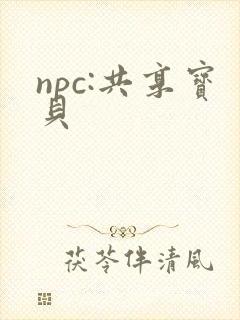 npc:共享宝贝
