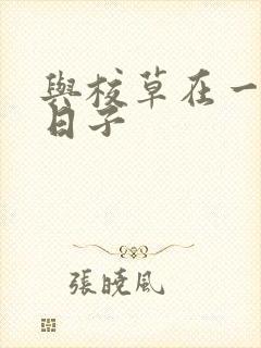 与校草在一起的日子