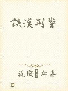 铁汉刑警封面