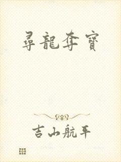 寻龙夺宝