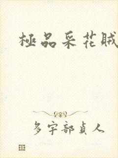 极品采花贼封面