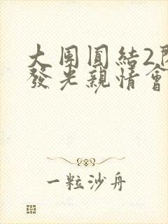 大团圆结2闪闪发光亲情会