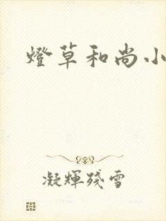 灯草和尚小说封面