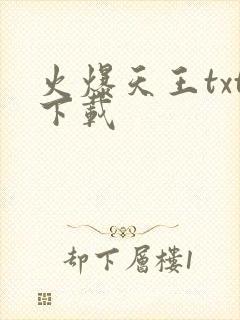 火爆天王txt下载封面