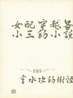 女配穿越各个做小三的小说