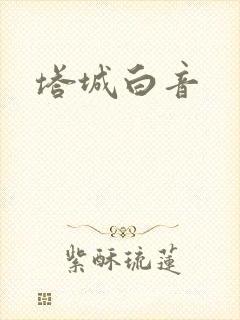 塔城白音封面
