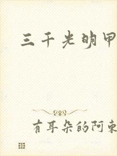 三千光明甲封面