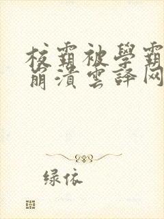 校霸被学霸玩到崩溃云译网