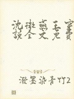 沈微燕王穿越小说全文免费阅读