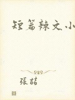 短篇辣文小说